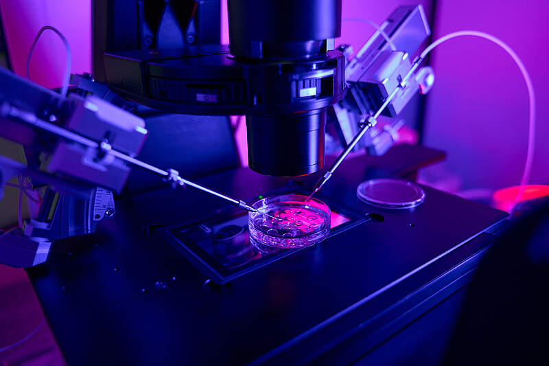 Labor Untersuchung Wissenschaftler führt mikroskopische Analyse im Labor durch